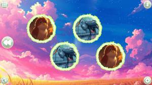 Anime Dream Match: Birds Cover