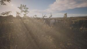 PROJECT HUNT - LONE STAR HUNTING RANCH Cover