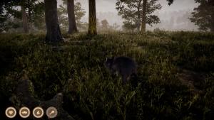 Twilight Tails Cover