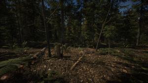 Forest of Lost Wanderers Cover