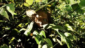 Forest Doesn’t Care Cover