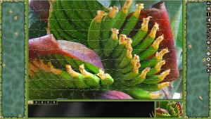 Pixel Puzzles Traditional Jigsaws Pack: Canarias Cover