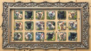 Real Kitten Puzzles (images) Cover