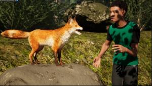 The Fox, The Forest & The Darkness Cover