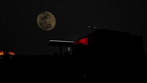 L.O.S.T - Last Ones Standing Together Cover