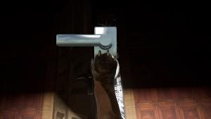 Good Boy The Long Night Cover