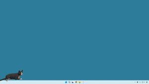 desktop my cat Cover