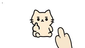 Don't Flip First Cover