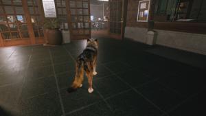 The Last of them Cover