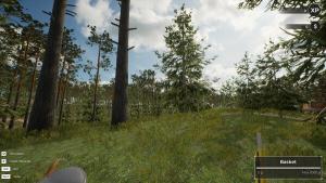 Mushroom Hunter World Cover