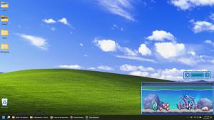 Little Aquarium Cover