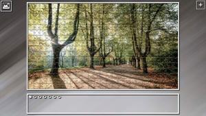 Super Jigsaw Puzzle: Generations - Forests Cover