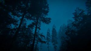 VETITUM_VRC: An Ocean Game - Expansion Levels Cover