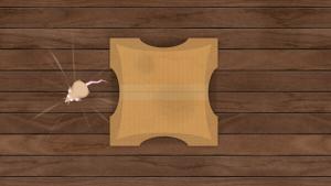 Play With Your Cat! - A Virtual Toy Box Cover