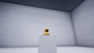 Duck Duck Goose Cover