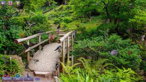 Hidden Pairs 3: Lovely Birds - Hidden Objects Cover