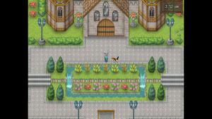 Cat Crazy Cover