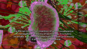 Laments of a Platinum Rose Cover