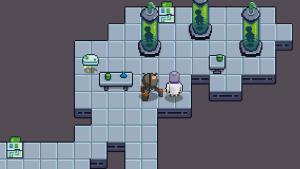 The Visitor Effect: Not an experiment Cover