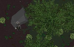 The Hunter's Path Cover