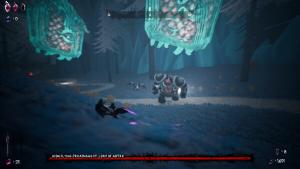 Zorro and Zedd Cover