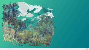 Desktop Forest Cover