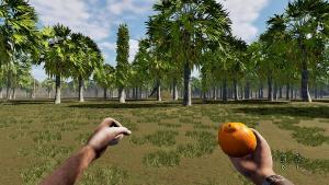 Pau e Pedra - Orange Cover