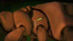 Queen Of The Hill Cover