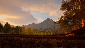 Whispers of Mexico: La noche de la casada Cover