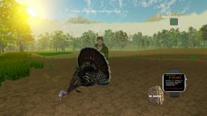 Turkey Hunting - The Season Cover