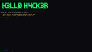 HELLO HACKER Cover