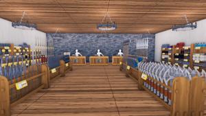 Mystic Merchant Cover