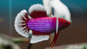 Fish Game - Betta Fish Pack 1 Cover