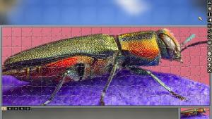 Pixel Puzzles Traditional Jigsaws Pack: Colorful Animals Cover