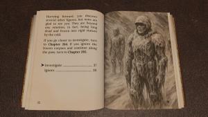 Heart of Ice by Dave Morris Cover