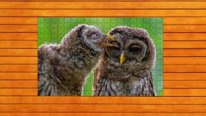 Whispers of Wings Jigsaw Puzzles - Expansion Pack 4 Cover